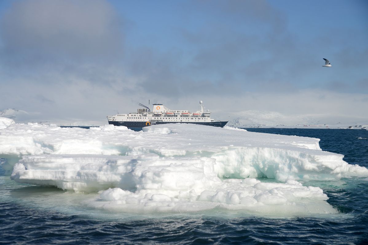 20 We Head Back To The Quark Expeditions Antarctica Cruise Ship From The Zodiac Near Aitcho Barrientos Island In South Shetland Islands